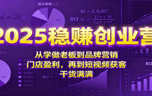 2025稳赚创业营：从学做老板到品牌营销、门店盈利，再到短视频获客，干货满满