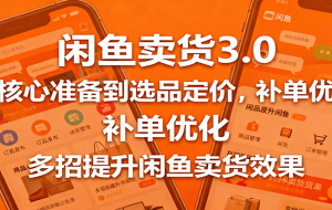 闲鱼卖货3.0，从核心准备到选品定价，补单优化，多招提升闲鱼卖货效果