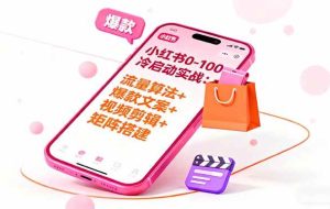 （16298期）小红书0-100冷启动实战：流量算法+爆款选品+爆款文案+视频剪辑+矩阵搭建