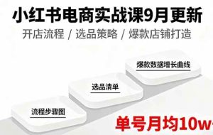 （16120期）小红书电商实战课9月更新，开店流程/选品策略/爆款店铺打造，单号月均10w+