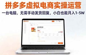 （16138期）拼多多虚拟电商实操运营，一台电脑，无需手动发货回复，小白也能月入1-5W