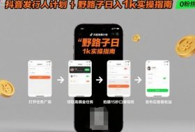 抖音发行人计划全新野路子玩法,随时随地,只要有手机,就能操作,日入1k+【揭秘】