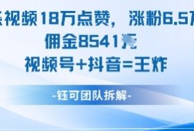 一条视频18W点赞，涨粉6.5W粉佣金8541米，视频号+抖音=王炸