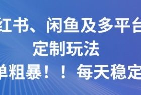 小红书、闲鱼及多平台定制玩法简单粗暴！每天稳定5张