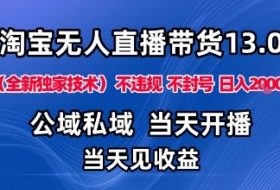 淘宝无人直播13.0，公域私域技术，不封号，不违规布局下半年旺季赛道，日入1K+（独家技术）【揭秘】