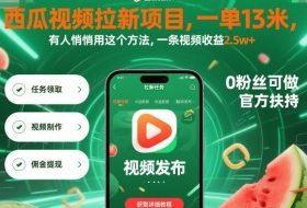 西瓜视频拉新项目，一单13米，有人悄悄用这个方法，一条视频收益2.5w+（附详细教程）