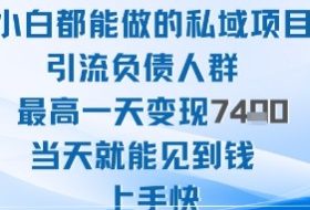 2025年小白都能做的私域项目引流负债人群最高一天变现1k+高变现难度低当天就能见到钱上手快