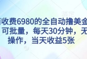外面收费6980的全自动撸美刀项目，可批量，每天30分钟，无脑操作，当天收益5张【揭秘】