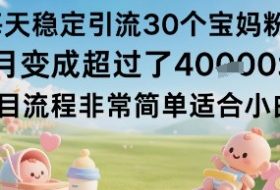 每天稳定引流30个宝妈粉当月变成超过了1W+项目流程非常简单适合小白