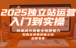 2025独立站运营入门到实操，快速成为具备全链路能力和商业思维的独立站运营专家