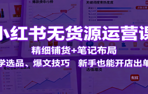 小红书无货源运营课：精细铺货+笔记布局，学选品、爆文技巧，新手也能开店出单