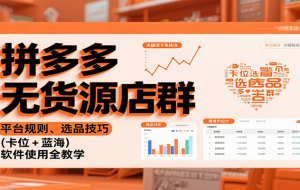 拼多多无货源店群：平台规则、选品技巧（卡位 + 蓝海），软件使用全教学