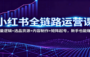小红书全链路运营课：流量逻辑+选品货源+内容制作+矩阵起号，新手也能赚钱