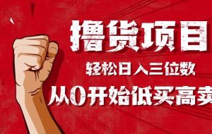 （16315期）手把手教你撸货，从0开始低买高卖，小白轻松实现日入三位数!!!