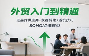 外贸入门到精通，选品找供应商+获客转化+避坑技巧，SOHO/企业转型