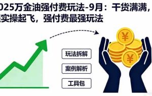 （16202期）2025万金油强付费玩法-9月：干货满满，全程实操起飞，强付费最强玩法