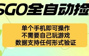 （16207期）自动挂机捡漏，不用自己挂机不用玩游戏，一个手机即可操作。新手小白轻…