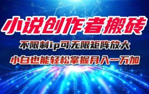 （16209期）小说创作者搬砖玩法，不限制IP简单无脑 可矩阵无限放大小白也能实现轻…