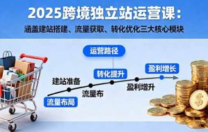 （16211期）2025跨境独立站运营课：涵盖建站搭建、流量获取、转化优化三大核心模块