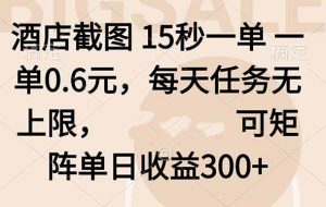 （16212期）酒店截图 15秒一单 一单0.6元，每天任务无上限，可矩阵单日收益300+