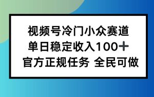 （16234期）视频号小众赛道，单日稳定收入100+，适合所有人