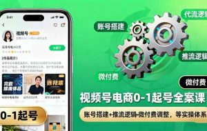 (16262期)视频号电商0-1起号全案课:账号搭建+推流逻辑+微付费调整,等实操体系