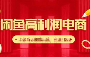 （16286期）闲鱼卖爆款货源，每天利润1000，上架即出单