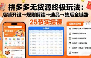 （16297期）拼多多无货源终极玩法：店铺开设→规则解读→选品→售后全链路,25节实操课