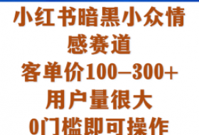 小红书暗黑小众情感赛道，客单价100-300+用户量很大，0门槛即可操作