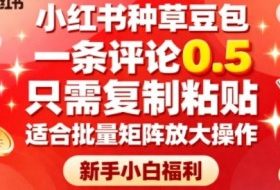 小红书种草豆包，一条评论0.5，只需复制粘贴，适合批量矩阵放大操作，新手小白福利