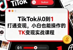 TikTok从0到1打通变现，小白也能操作的TK变现实战课程