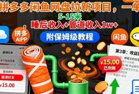 拼多多闲鱼网盘拉新项目，一单5-15米，睡后收入+管道收入1w+（附保姆级教程）