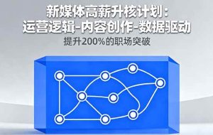 （16142期）新媒体高薪升核计划：运营逻辑-内容创作-数据驱动，提升200%的职场突破