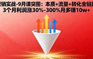 （16152期）营销实战-9月突围课:本质+流量+转化全链路 3个月利润涨30%-300%月多赚10w+