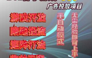 （16175期）抖音小游戏广告推广项目，2025最新实测落地，单日收益300+