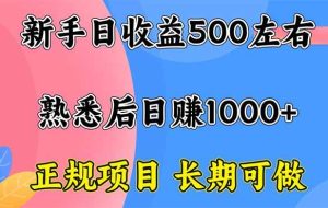（16132期）新手日收益500+ 正规项目 长期可做