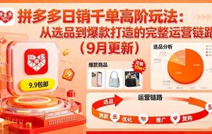 （16100期）拼多多日销千单高阶玩法：从选品到爆款打造的完整运营链路（9月更新）