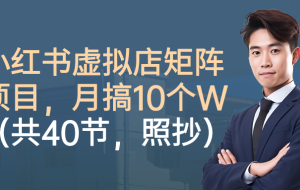 小红书虚拟店矩阵项目，月搞10W（共40节，照抄照做）
