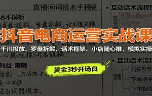 抖音电商运营实战课：千川投放、罗盘拆解、话术框架、小店随心推，模拟实操