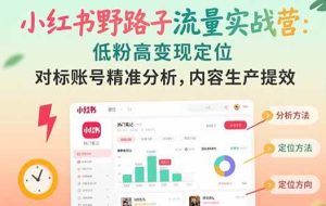 （15423期）小红书野路子流量实战营：低粉高变现定位 对标账号精准分析 内容生产提效