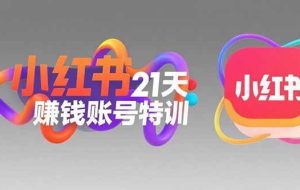 （15427期）小红书21天赚钱账号特训：黄金定位技巧，高转粉文案创作，科学引流策略