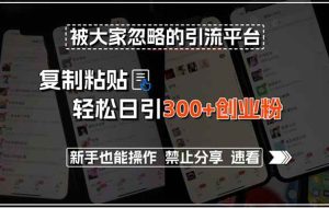（15428期）被大家忽略的引流平台，复制粘贴轻松日引300+创业粉，新手也能操作，禁…