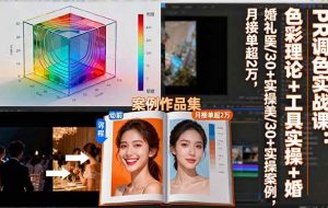 (16336期)PR调色实战课:色彩理论+工具实操+婚礼医美/30+实操案例,月接单超2万