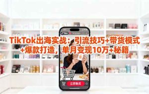 (16358期)「TikTok出海实战」引流技巧+带货模式+爆款打造,单月变现10万+秘籍