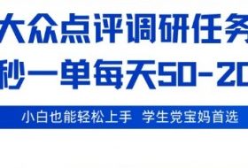 大众点评调研，电脑任务，2秒一单每天50-2张，学生党宝妈首选【揭秘】