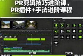 PR剪辑技巧进阶课，PR插件+手法进阶课程
