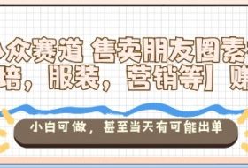 小众赛道售卖朋友圈素材【教培，服装，营销等】賺麻了，小白可做，甚至当天有可能出单