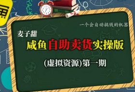 麦子甜咸鱼自助卖货实操版（虚拟资源）一个会自动搞钱的机器
