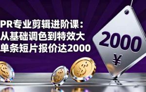 （16381期）PR专业剪辑进阶课：从基础调色到特效大片的进阶技能，单条短片报价达2000