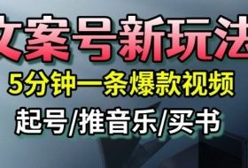 文案号新玩法,5分钟一条爆款视频,流量高,起号快,多方位变现
